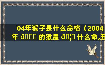04年猴子是什么命格（2004年 🐘 的猴是 🦉 什么命,五行属性）